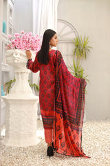 NSM Embroidered 3pc (UnStitched)