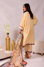 NSM Lawn 3pc (UnStitched)